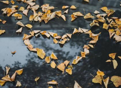 A heart made out of yellow leaves on a black surface.