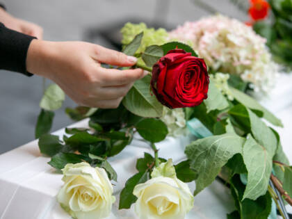 A hand placing a read rose on a white casket.