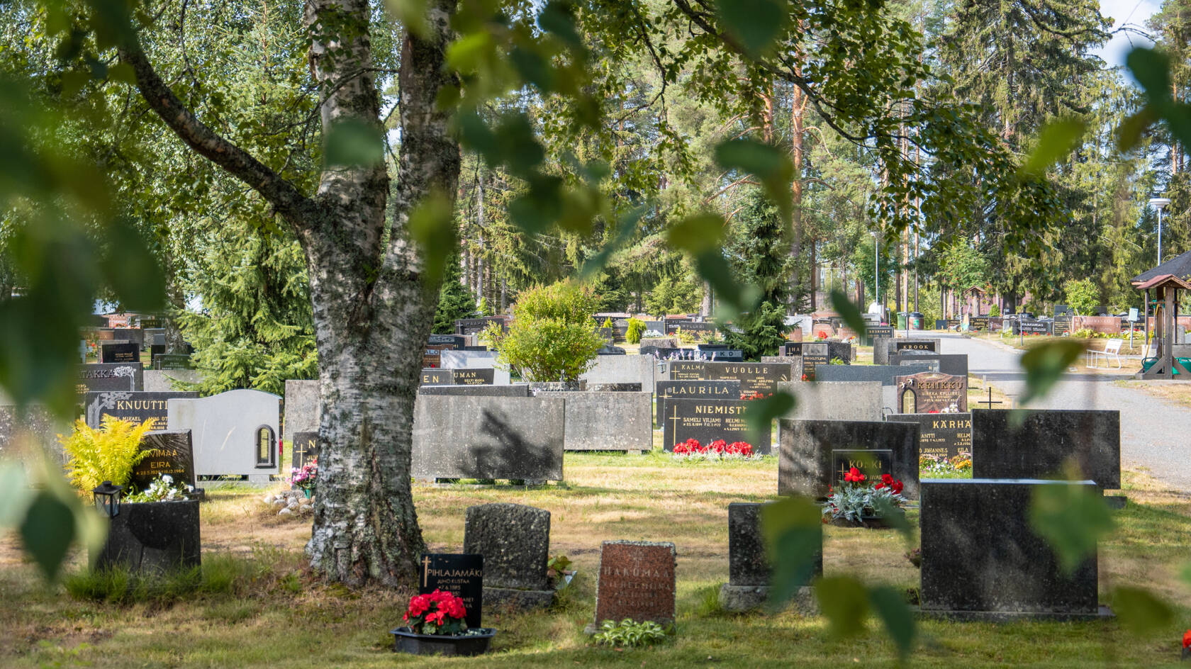 Hautausmaalla hautakiviä ja kukkia ja puita.