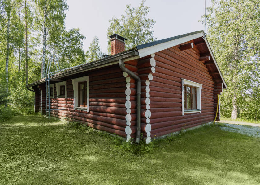 Tummanruskea hirsinen saunarakennus, ympärillä nurmikkoa ja koivuja.