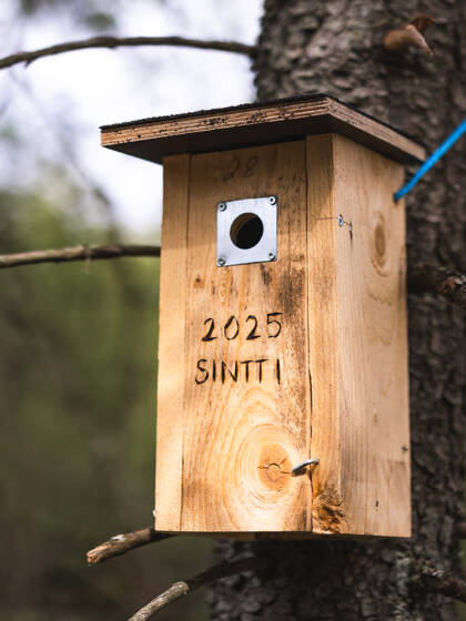 Linnunpönttö Seinäjoen seurakunnan Toivon metsässä.