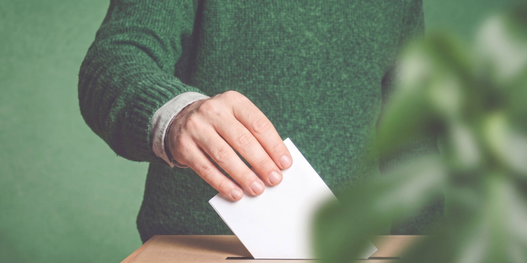 A person places the ballot in the ballot box.